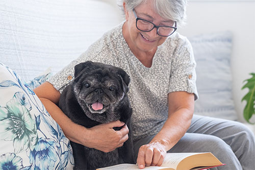 woman holding a small black dog